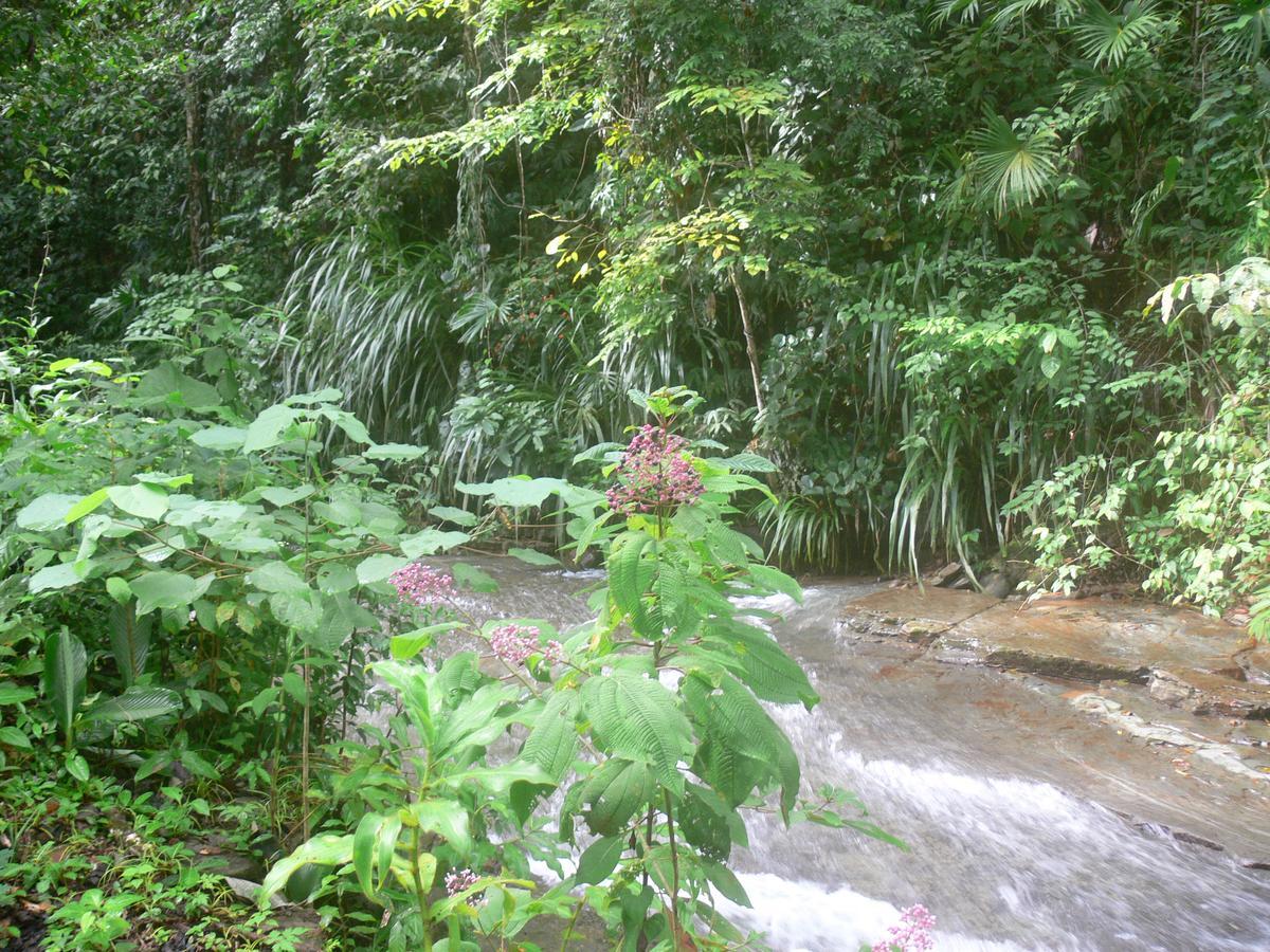 Waterfall Villas Baru ภายนอก รูปภาพ